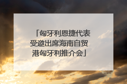 匈牙利恩捷代表受邀出席海南自贸港匈牙利推介会