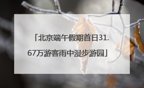 北京端午假期首日31.67万游客雨中漫步游园