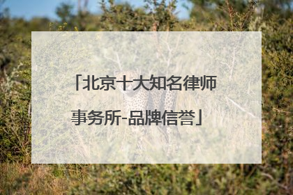 北京十大知名律师事务所-品牌信誉