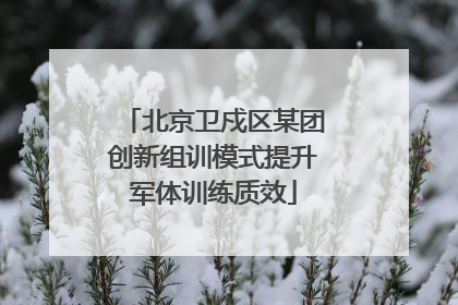 北京卫戍区某团创新组训模式提升军体训练质效