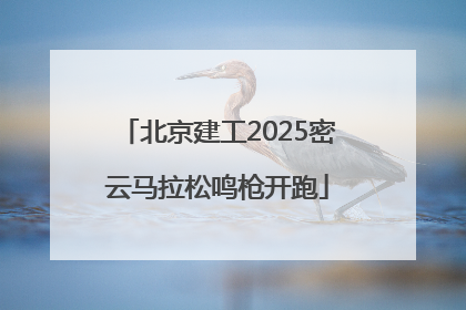 北京建工2025密云马拉松鸣枪开跑