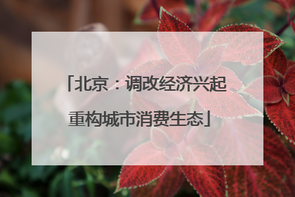 北京：调改经济兴起 重构城市消费生态