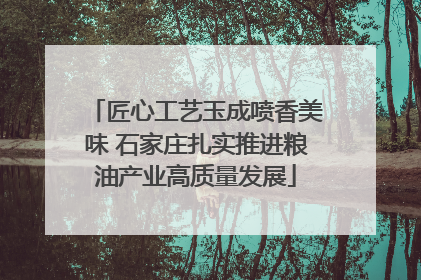 匠心工艺玉成喷香美味 石家庄扎实推进粮油产业高质量发展