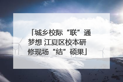 城乡校际“联”通梦想 江夏区校本研修现场“结”硕果