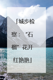 城步检察：“石榴”花开红艳艳