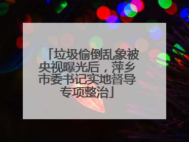 垃圾偷倒乱象被央视曝光后，萍乡市委书记实地督导专项整治
