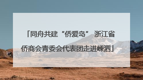 同舟共建“侨爱岛” 浙江省侨商会青委会代表团走进嵊泗