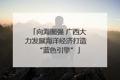 向海图强 广西大力发展海洋经济打造“蓝色引擎”