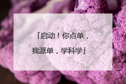 启动！你点单，我派单，学科学
