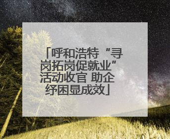 呼和浩特“寻岗拓岗促就业”活动收官 助企纾困显成效