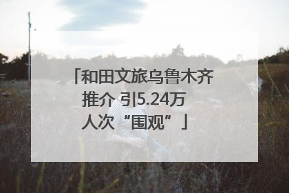 和田文旅乌鲁木齐推介 引5.24万人次“围观”