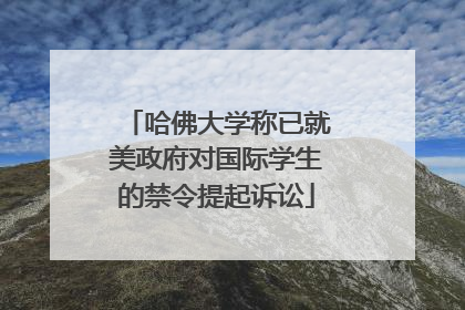 哈佛大学称已就美政府对国际学生的禁令提起诉讼