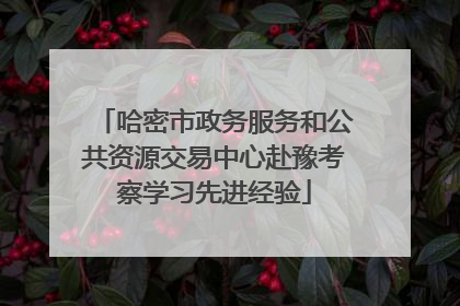 哈密市政务服务和公共资源交易中心赴豫考察学习先进经验