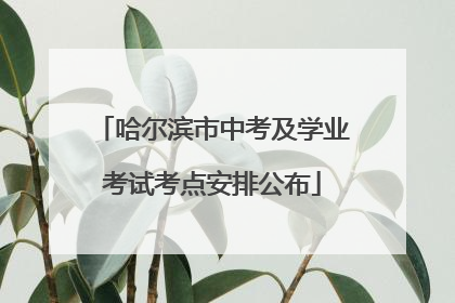 哈尔滨市中考及学业考试考点安排公布