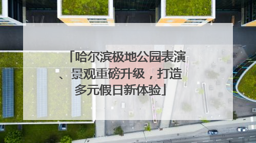 哈尔滨极地公园表演、景观重磅升级，打造多元假日新体验