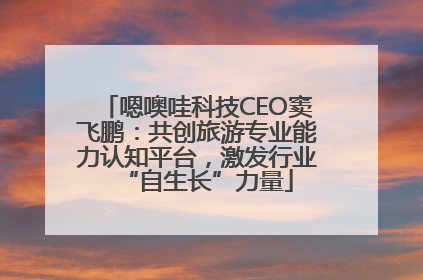 嗯噢哇科技CEO窦飞鹏：共创旅游专业能力认知平台，激发行业“自生长”力量