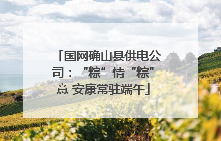 国网确山县供电公司：“粽”情“粽”意 安康常驻端午