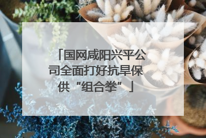 国网咸阳兴平公司全面打好抗旱保供“组合拳”
