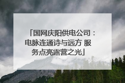 国网庆阳供电公司：电脉连通诗与远方 服务点亮露营之光