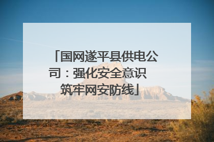 国网遂平县供电公司：强化安全意识 筑牢网安防线