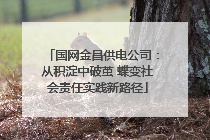 国网金昌供电公司：从积淀中破茧 蝶变社会责任实践新路径