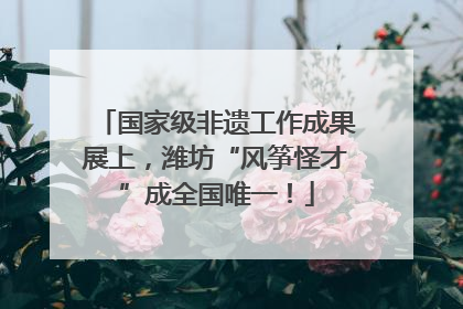 国家级非遗工作成果展上，潍坊“风筝怪才”成全国唯一！