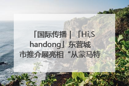 国际传播｜「Hi,Shandong」东营城市推介展亮相“从蒙马特到加里波第”文化节