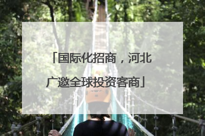 国际化招商，河北广邀全球投资客商