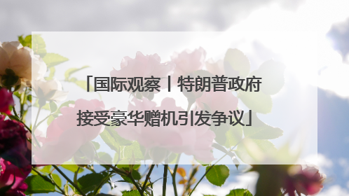 国际观察丨特朗普政府接受豪华赠机引发争议