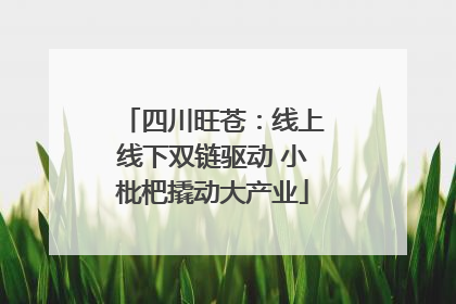 四川旺苍：线上线下双链驱动 小枇杷撬动大产业