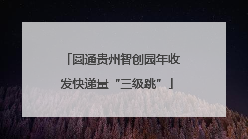 圆通贵州智创园年收发快递量“三级跳”