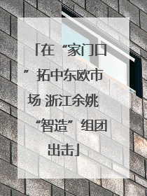 在“家门口”拓中东欧市场 浙江余姚“智造”组团出击