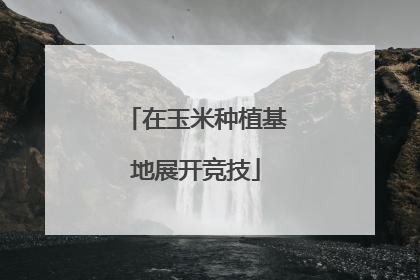 在玉米种植基地展开竞技