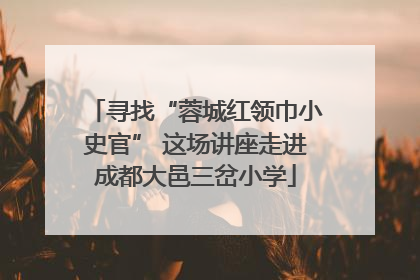 寻找“蓉城红领巾小史官” 这场讲座走进成都大邑三岔小学