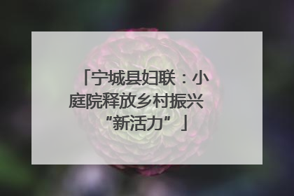 宁城县妇联：小庭院释放乡村振兴“新活力”