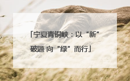 宁夏青铜峡：以“新”破题 向“绿”而行