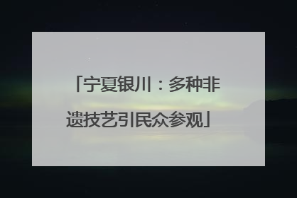 宁夏银川：多种非遗技艺引民众参观
