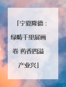 宁夏隆德：绿畴千里展画卷 药香四溢产业兴