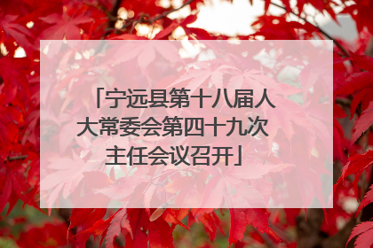 宁远县第十八届人大常委会第四十九次主任会议召开