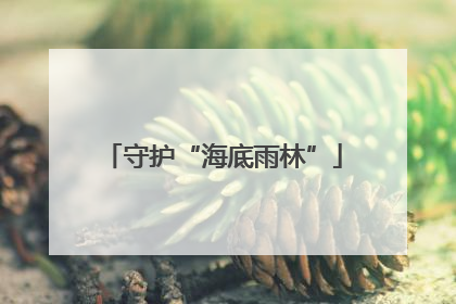 守护“海底雨林”