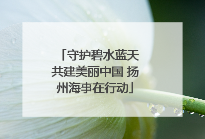 守护碧水蓝天 共建美丽中国 扬州海事在行动