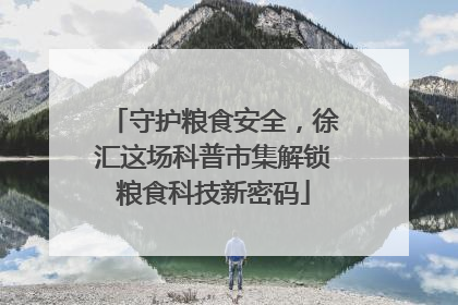 守护粮食安全，徐汇这场科普市集解锁粮食科技新密码
