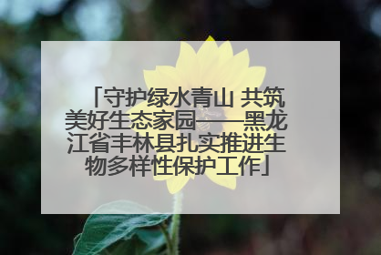 守护绿水青山 共筑美好生态家园——黑龙江省丰林县扎实推进生物多样性保护工作