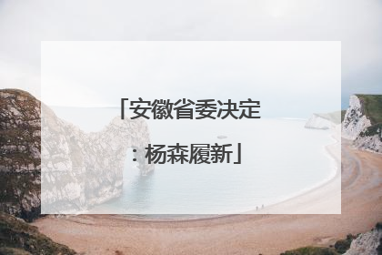 安徽省委决定：杨森履新