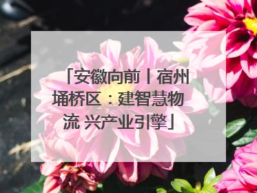 安徽向前丨宿州埇桥区：建智慧物流 兴产业引擎