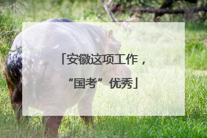 安徽这项工作，“国考”优秀