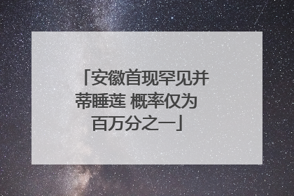 安徽首现罕见并蒂睡莲 概率仅为百万分之一