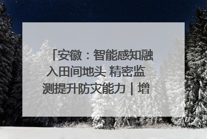 安徽：智能感知融入田间地头 精密监测提升防灾能力｜增发国债气象项目落地见效系列报道