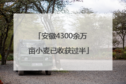 安徽4300余万亩小麦已收获过半