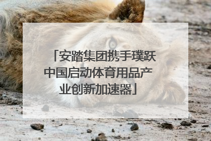 安踏集团携手璞跃中国启动体育用品产业创新加速器